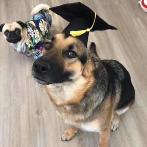 Meet your Posher, Xutong